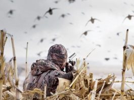 Goose Hunting Purpose