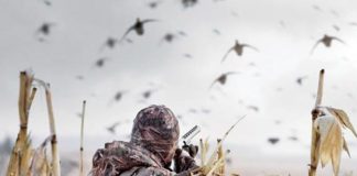 Goose Hunting Purpose