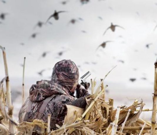 Goose Hunting Purpose